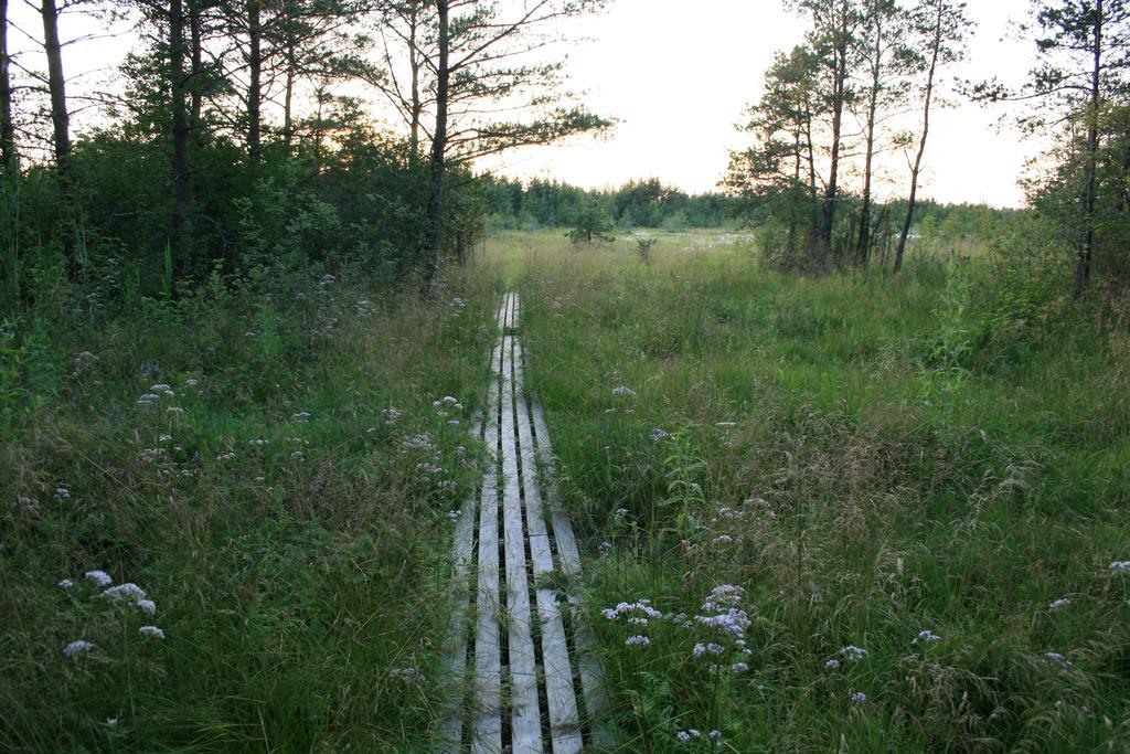 Kotkapoja Residence Kuressaare Værelse billede